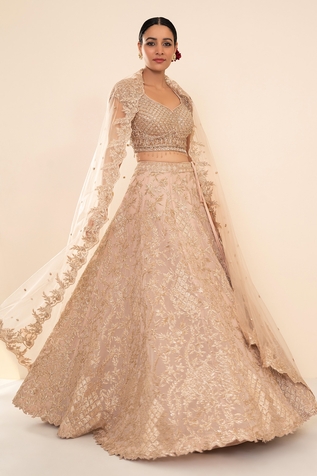 Studio Iris India Organza Embroidered Lehenga Set