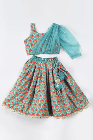 Embroidered Lehenga & Blouse 
