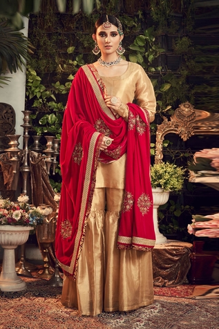 Ranian Silk Tissue Kurta Set with Crimson Dupatta