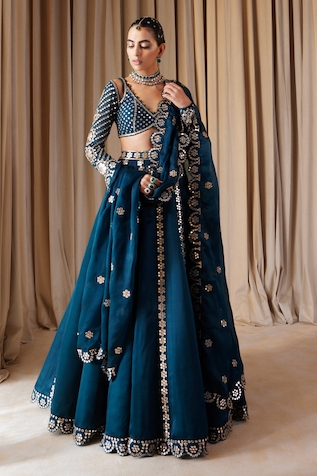 Vvani by Vani Vats Flower Linear Embroidered Lehenga Set