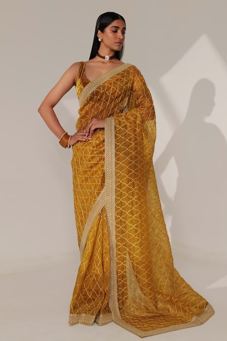 Taisha Jaal Embroidered Handwoven Saree With Blouse 