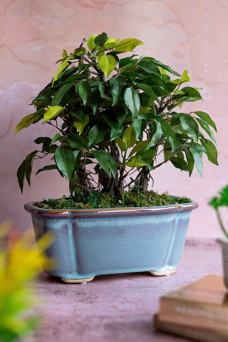 H2H Green Polyester And Plastic Artificial Bonsai Plant 