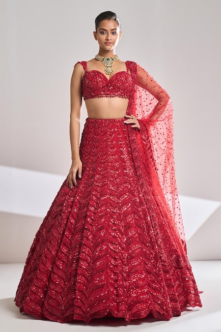 Red sequin work Lehenga with feather dupatta – Ricco India
