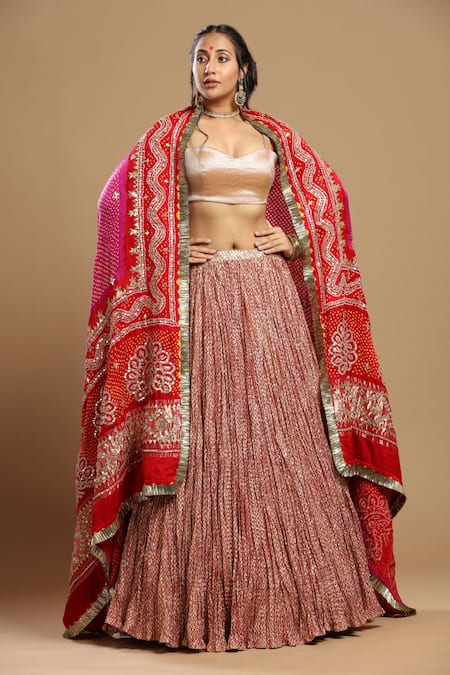 Etasha by Asha Jain Flared Lehenga Set 