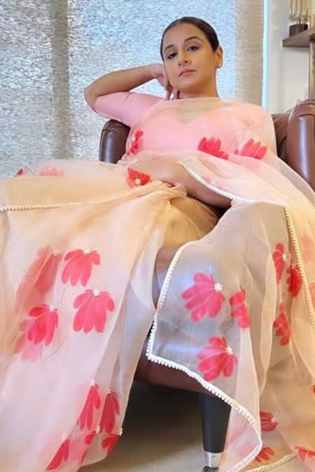 Meghstudio Hand Embroidered & Hand Painted Saree 