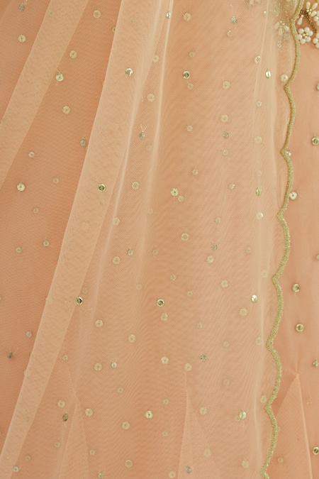 Rajat & Shraddha_Peach Net Round Embellished Lehenga Saree Set  _at_Aza_Fashions