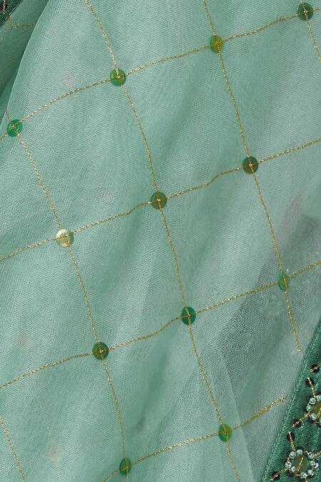 Dnu Priyal Prakash Green Organza Embroidered Saree Set at Aza Fashions Dnu Priyal Prakash_Green Organza Embroidered Saree Set_at_Aza_Fashions