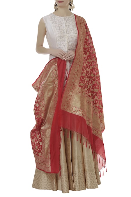 Samyukta Singhania_Red Banarasi Silk Dupatta_Online_at_Aza_Fashions