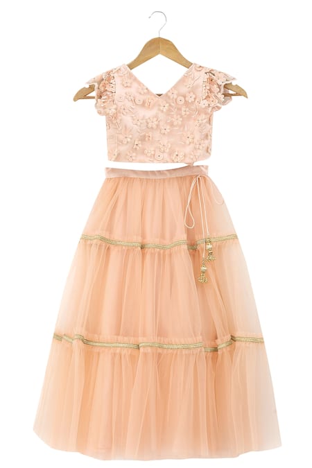 PWN Peach Net Embroidered Lehenga Set  