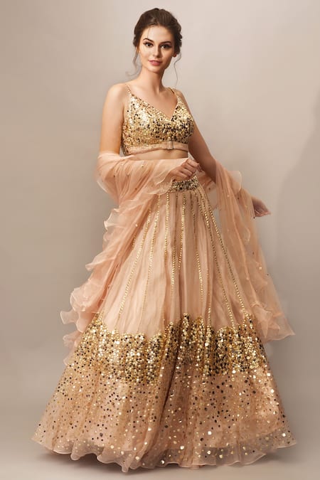 Mani Bhatia Embellished Lehenga Skirt 