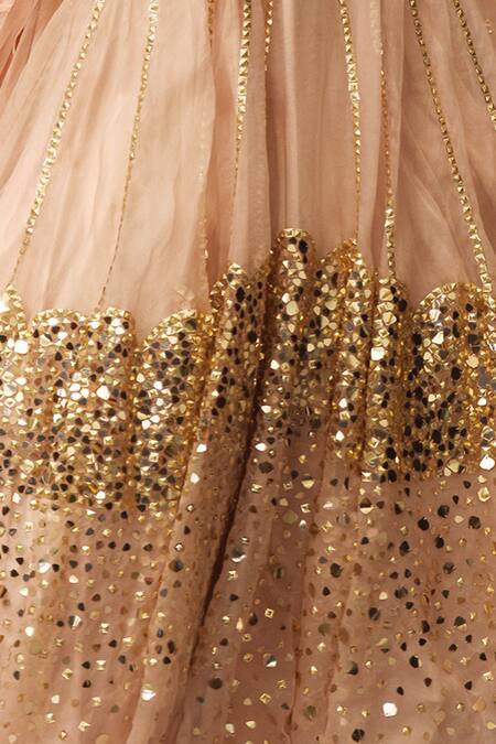 Mani Bhatia_Peach Organza, Net Embellished Lehenga Skirt _Online_at_Aza_Fashions