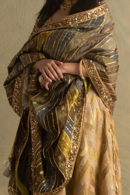 Buy Priyanka Raajiv Green Silk, Cotton, Banarasi Dupatta Online at Aza Fashions Buy_Priyanka Raajiv_Green Silk, Cotton, Banarasi Dupatta _Online_at_Aza_Fashions