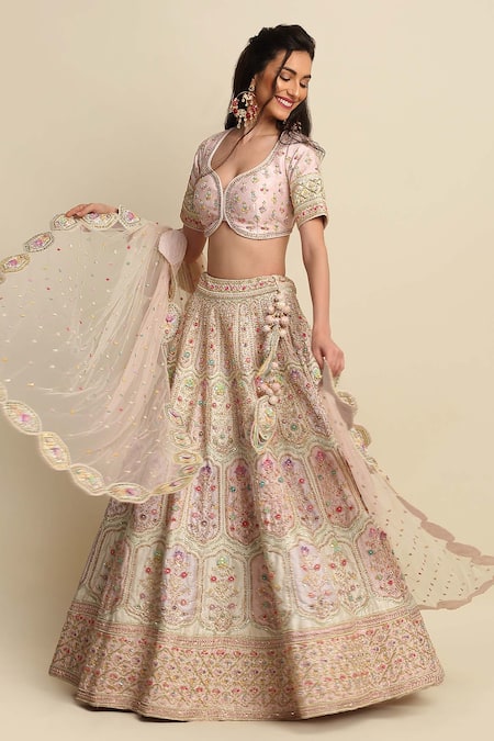 Priyanka Jain Pink Raw Silk, Net Floral , Mughal Applique Bridal Lehenga Set 