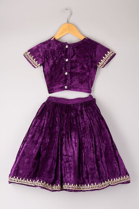 P & S CO Velvet Embroidered Choli & Lehenga Set 