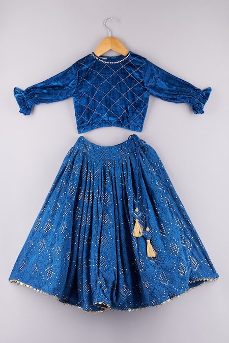 P & S CO Floral Embroidered Lehenga & Velvet Choli Set 