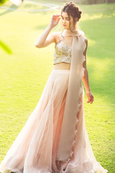 Aaryaa By Kashveen Kohli Pink Blouse Raw Silk And Stole Shimmer Chiffon, Embroidered Bustier & Set