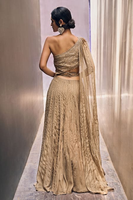 Charu And Vasundhara Racheal One Shoulder Draped Gown 