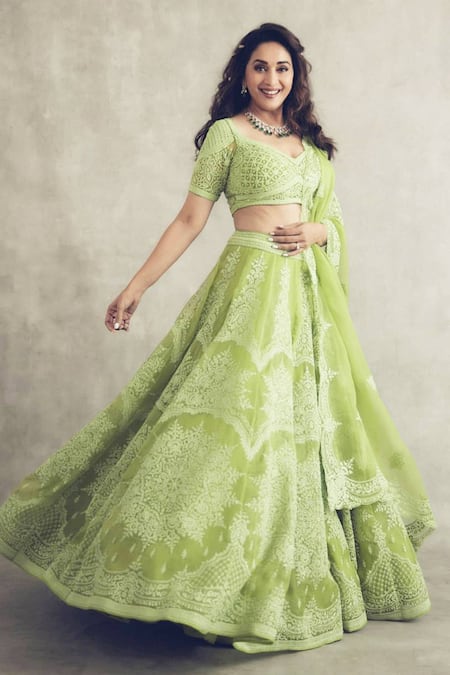 Torani Green Organza Angoori Meher Passa Lehenga Set