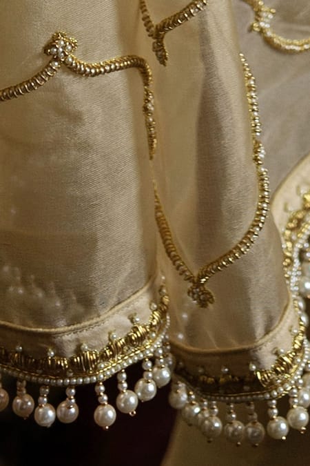 Shimai Jayachandra_Beige Silk Organza Floral, Pearl, Zardozi Jaisalmer Embroidered Saree _at_Aza_Fashions