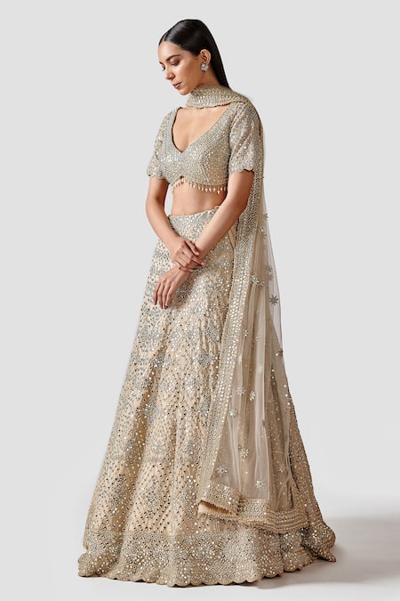 Swati Narula_Gold Dupatta Net, Lehenga And Blouse Tissue Mirror Heer Embroidered Bridal Set _Online_at_Aza_Fashions