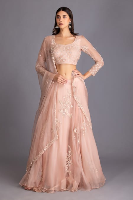 House Of Tushaom Pink Silk Organza Cutdana, Sequin And Thread Placement Embroidered Lehenga Set
