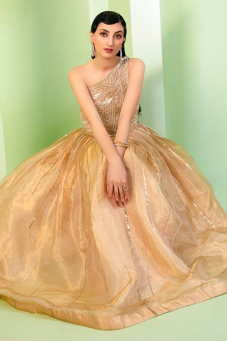 Laxmishriali One Shoulder Embellished Gown 