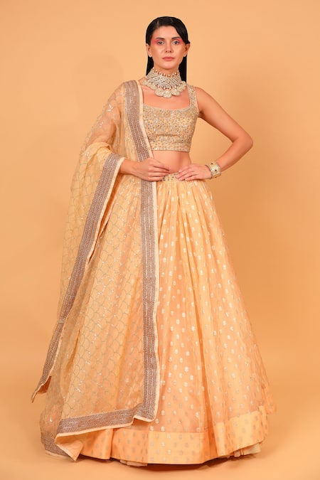 Neha Khullar Banarasi Organza Lehenga Set 