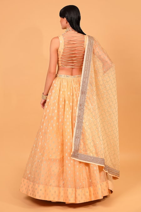 Neha Khullar Banarasi Organza Lehenga Set 