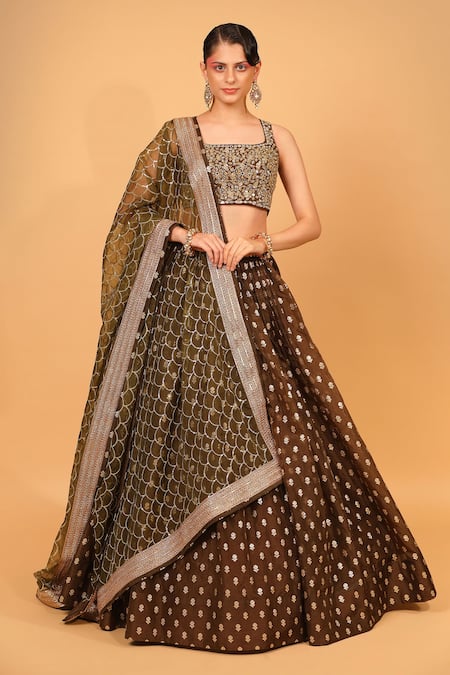 Neha Khullar Banarasi Organza Lehenga Set 