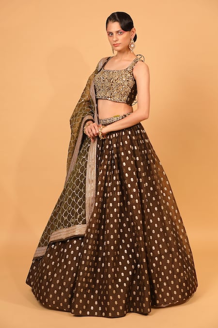 Neha Khullar_Brown Organza, Banarasi Organza, Lining Cotton Shantoon Floral Lehenga Set _Online_at_Aza_Fashions