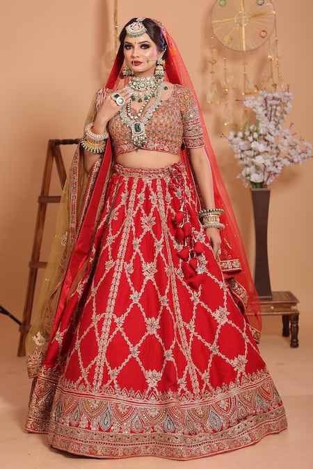 Mehar_Red Net Embroidery, Sequins Split V-neck Floral Bridal Lehenga Set _Online_at_Aza_Fashions