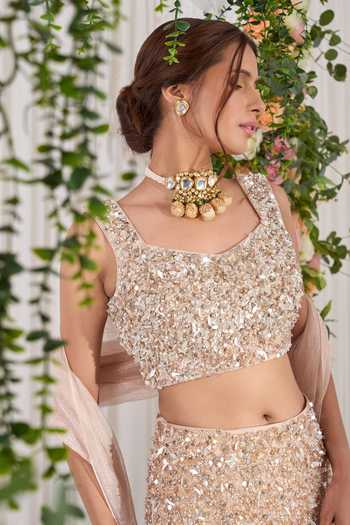 Shop_NIDHIKA SHEKHAR_Pink Blousesilk Lehenga Georgette Dupatta Tissue Sundarban Embroidered Set _Online_at_Aza_Fashions