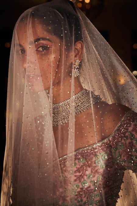Shop_Reynu Taandon_Pink Lining Shantoon, Soft Net Thread Work And Embellished Gown With Veil_Online_at_Aza_Fashions