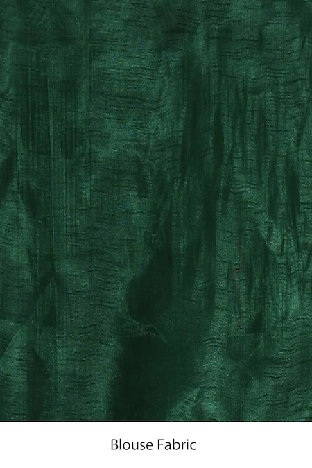 Shop_Samyukta Singhania_Green Georgette, Bamboo Sequins Round Neck Embroidered Saree_Online_at_Aza_Fashions