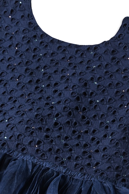 Shop_Charkhee_Blue Organza, Chiffon Stones Swarovski Embroidered Schiffli Dress 