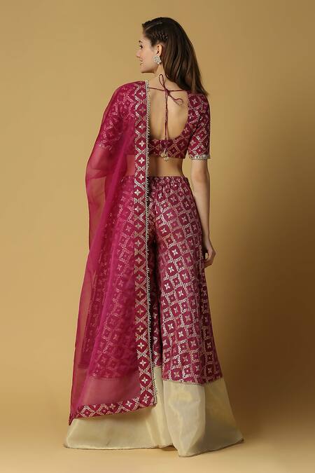 Monk & Mei By Sonia Anand Sevati Woven Sharara Saree With Blouse 