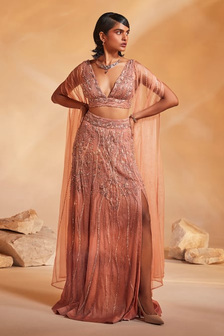 Shop_Divya Aggarwal_Coral Crushed Organza Abstract Plunge V Lilo Embroidered Skirt Set