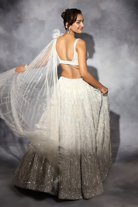 Swati Narula Hand Embroidered Blouse & Lehenga Set 