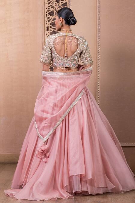 Shop Tarun Tahiliani Pink Organza Embroidery, Crystals, Tassels Waistband Flared Skirt Set at Aza Fashions Shop_Tarun Tahiliani_Pink Organza Embroidery, Crystals, Tassels Waistband Flared Skirt Set_at_Aza_Fashions