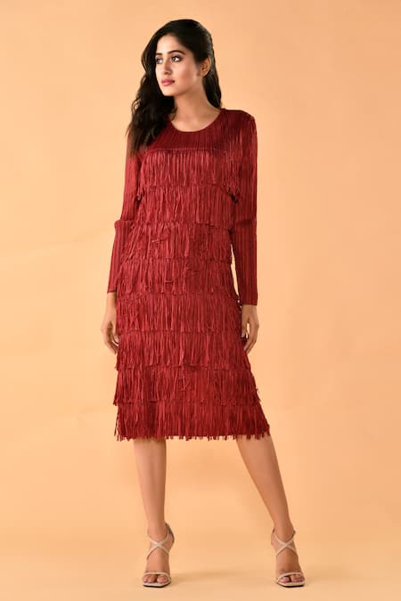 Crimp Fringe Embroidered Dress 
