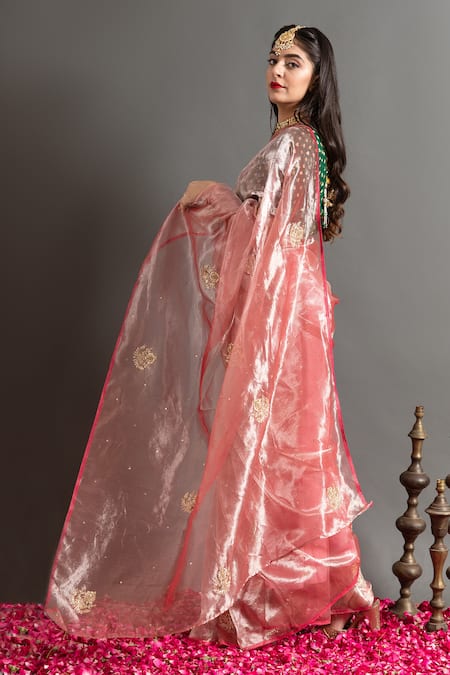 Ruar India Chaand Tissue Saree With Blouse 