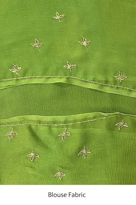 Priyal Bhardwaj_Green Chiffon Embroidery Floral Zari Saree _at_Aza_Fashions
