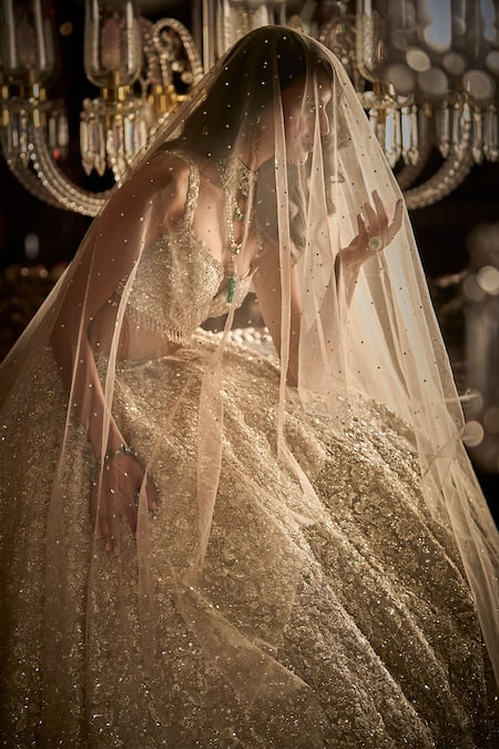 Shop_Seema Gujral_Silver Net Crystals, Pearls, Embroidery Sweetheart Botanical Bridal Lehenga Set_Online_at_Aza_Fashions