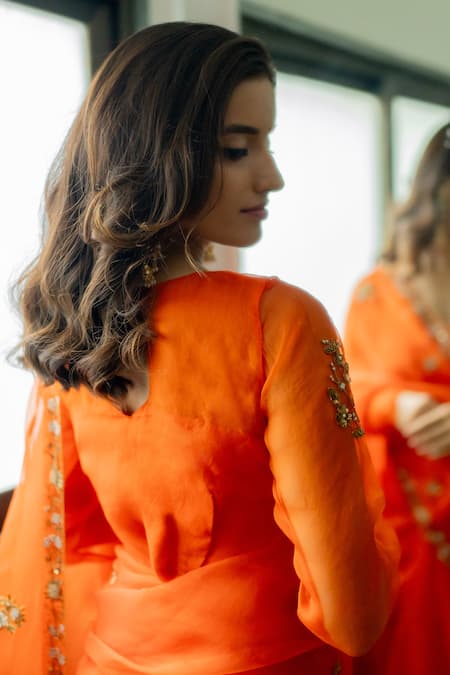 Peeli Dori Rashi Border Embroidered Saree With Blouse 