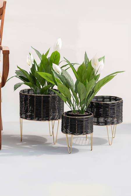 The Decor Remedy Black Iron Theos Cane Planters Set Of 3 