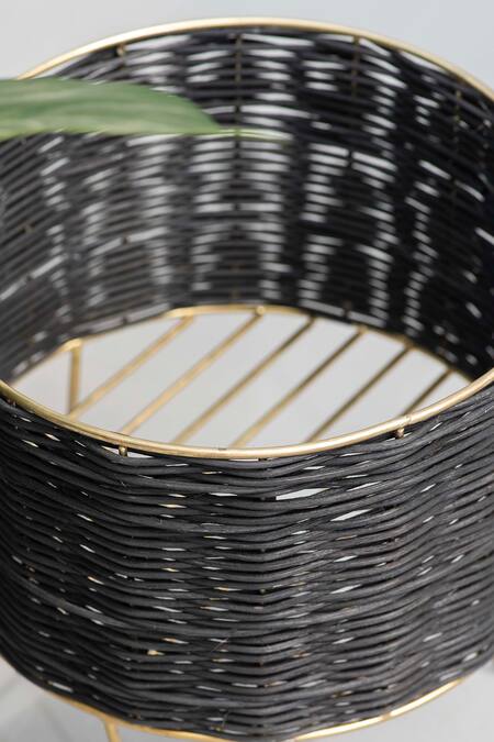 The Decor Remedy_Black Iron Theos Cane Planters Set Of 3_Online_at_Aza_Fashions