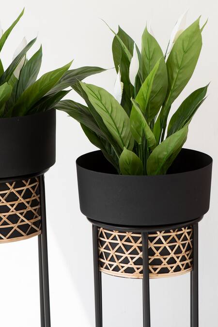Buy The Decor Remedy Black Iron Handwork Cane Planters With Texture Set Of 2 Online at Aza Fashions Buy_The Decor Remedy_Black Iron Handwork Cane Planters With Texture Set Of 2_Online_at_Aza_Fashions