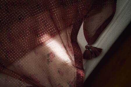 Buy_Dot_Pink Organza Embroidery Oleander Rose Print Dupatta _Online_at_Aza_Fashions