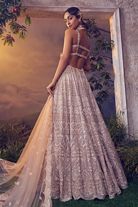 Shop_Aneesh Agarwaal_Beige Organza Sequins, Beads Pastel Geometric Embroidered Bridal Lehenga Set _at_Aza_Fashions