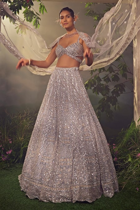 Aneesh Agarwaal_Grey Net Sequins, Beads, Tassels Geometric Stripe Pattern Bridal Lehenga Set _Online_at_Aza_Fashions